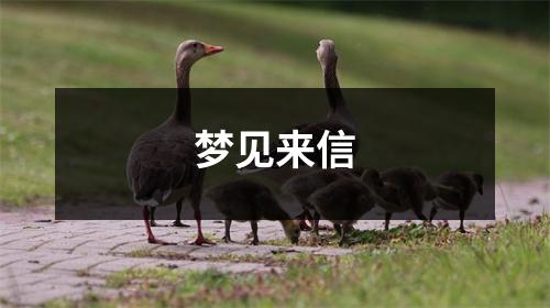 梦见来信