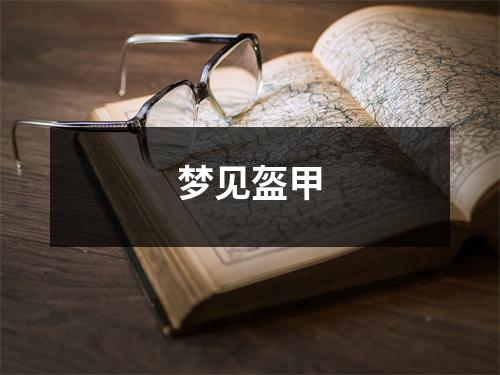 <h3>梦见盔甲