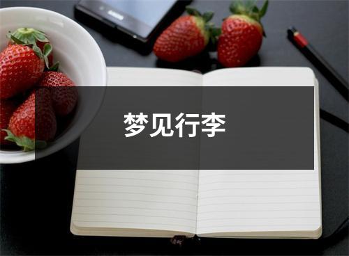 <h3>梦见行李
