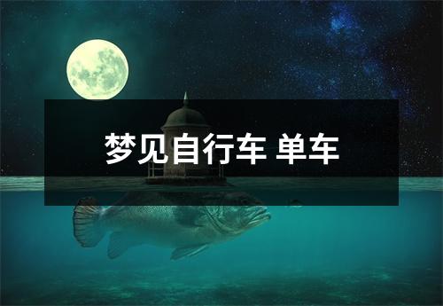 <h3>梦见自行车单车