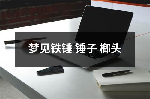 <h3>梦见铁锤锤子榔头