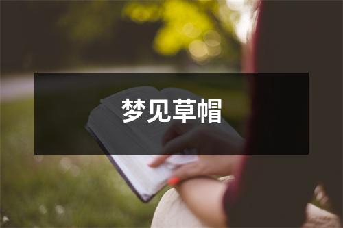 <h3>梦见草帽