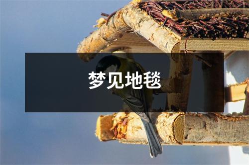 <h3>梦见地毯