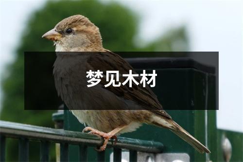 <h3>梦见木材