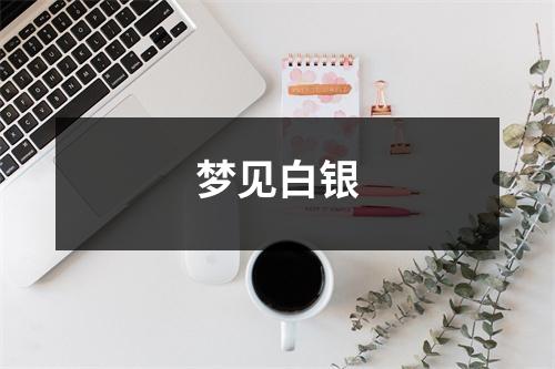 <h3>梦见白银