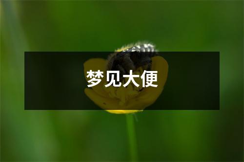 梦见大便