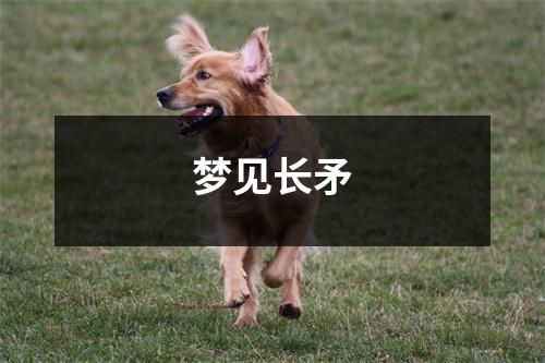 <h3>梦见长矛