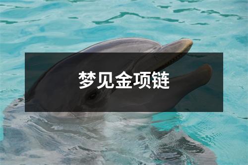 梦见金项链