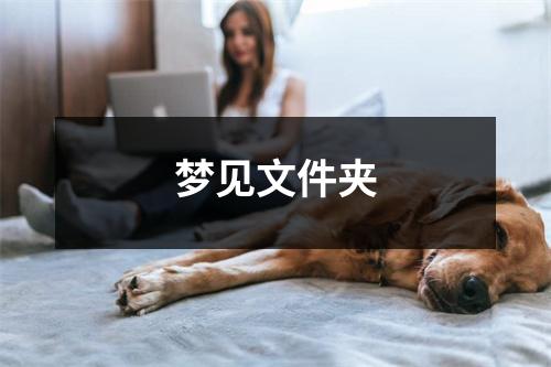 <h3>梦见文件夹