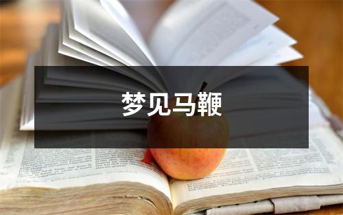 <h3>梦见马鞭