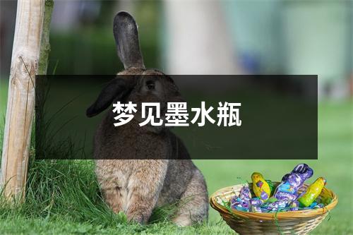 梦见墨水瓶
