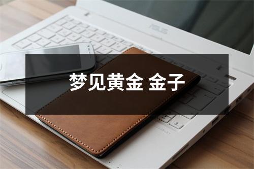 <h3>梦见黄金金子