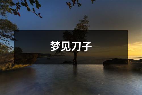 <h3>梦见刀子