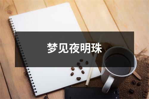 <h3>梦见夜明珠