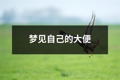 <h3>梦见自己的大便