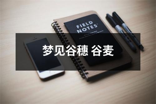 <h3>梦见谷穗谷麦