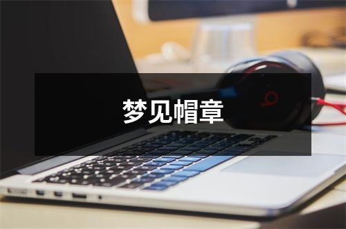 梦见帽章