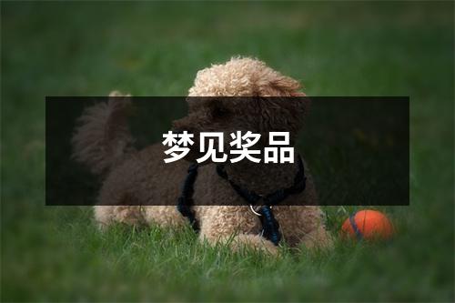 <h3>梦见奖品