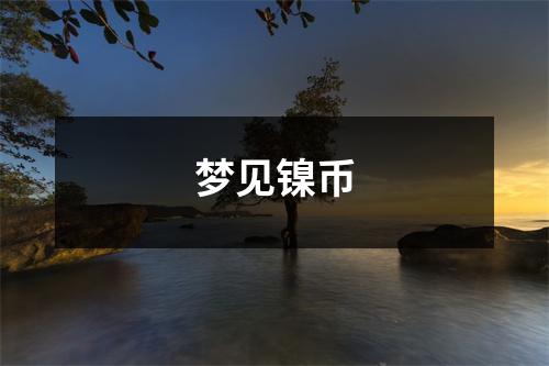 梦见镍币