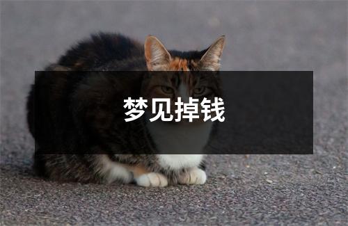 <h3>梦见掉钱