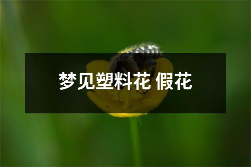 梦见塑料花假花