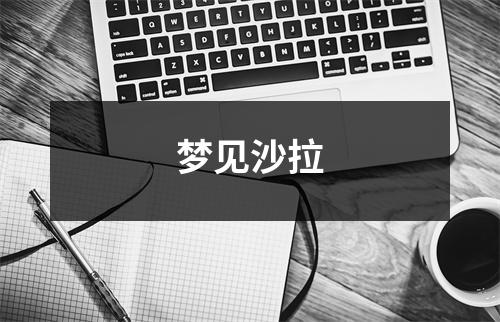 <h3>梦见沙拉