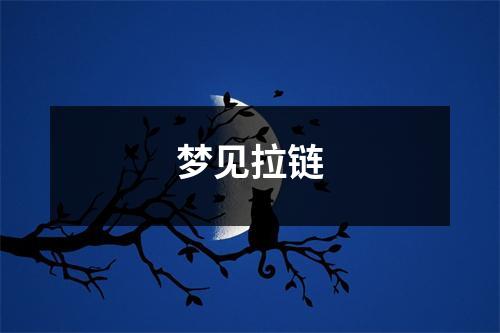 梦见拉链