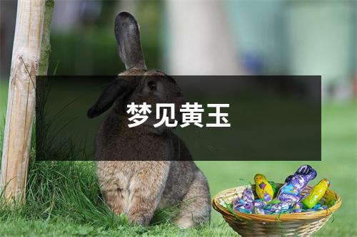 梦见黄玉