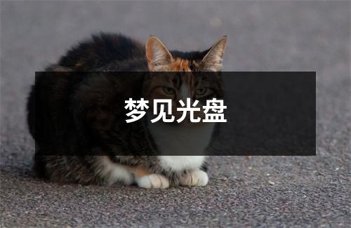 梦见光盘