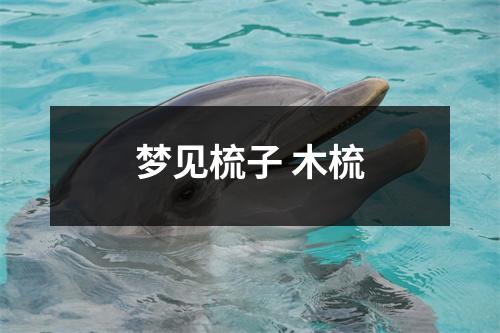 <h3>梦见梳子木梳