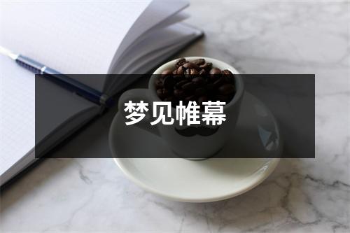 梦见帷幕