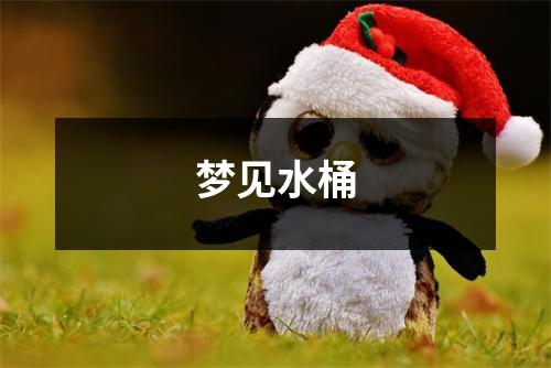 <h3>梦见水桶