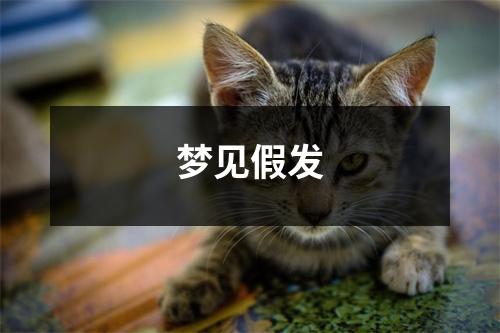 梦见假发