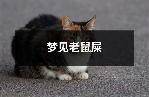 <h3>梦见老鼠屎