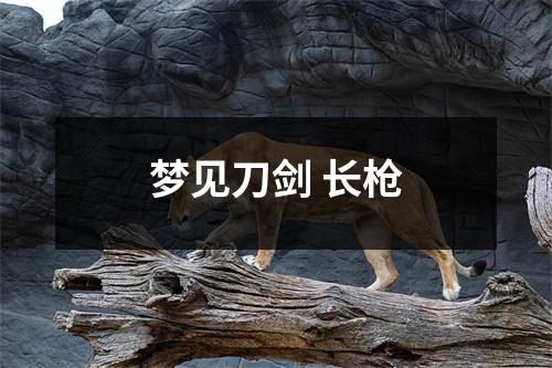 梦见刀剑长枪