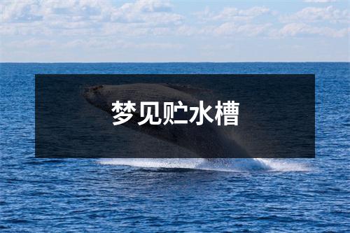 梦见贮水槽