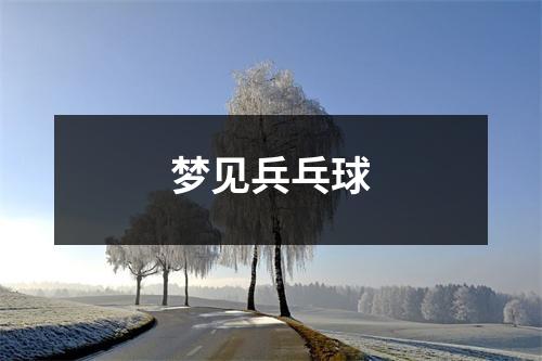 <h3>梦见兵乓球