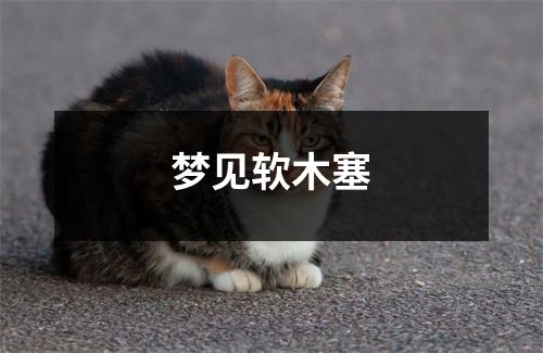 梦见软木塞