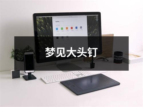<h3>梦见大头钉