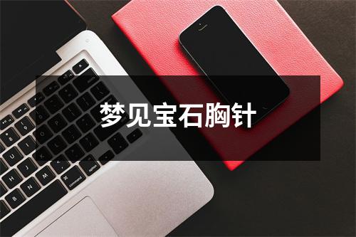 <h3>梦见宝石胸针