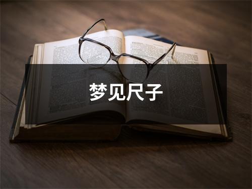 梦见尺子