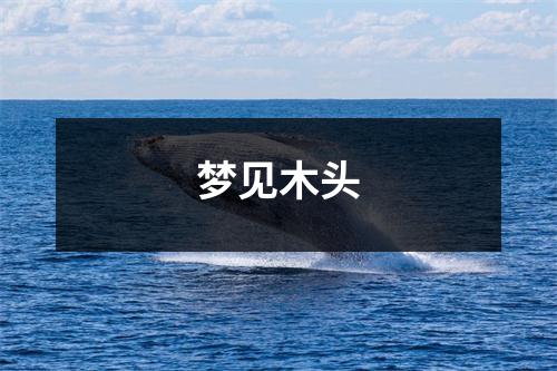 梦见木头