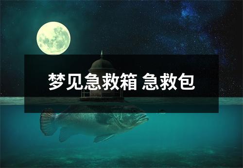 梦见急救箱急救包
