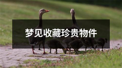 梦见收藏珍贵物件