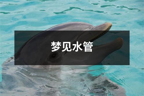 <h3>梦见水管