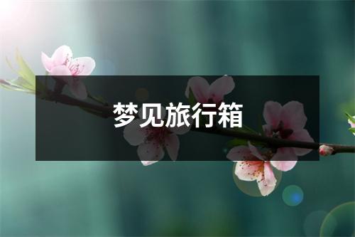 梦见旅行箱