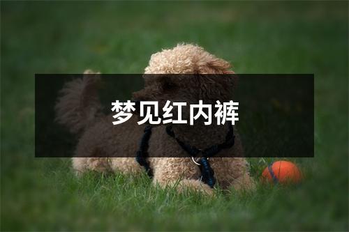 梦见红内裤