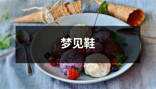 <h3>梦见鞋
