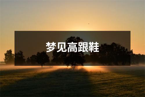 <h3>梦见高跟鞋