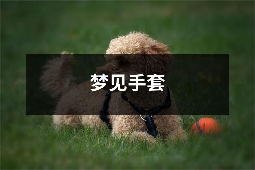 梦见手套